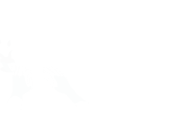 Secure API Development 