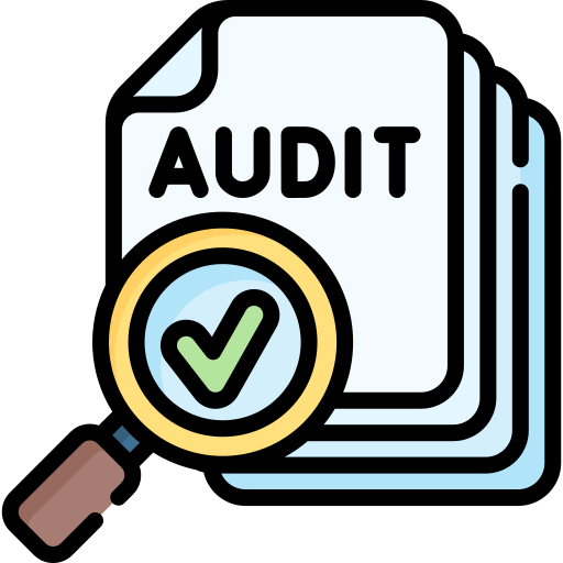 Audit & Analysis